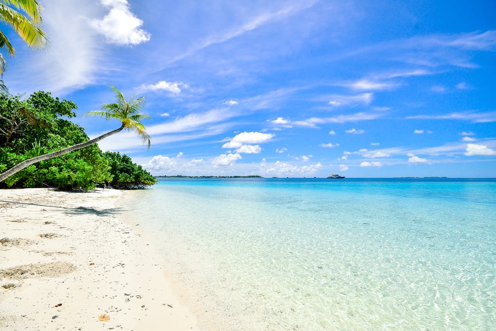 Coastal Beauty