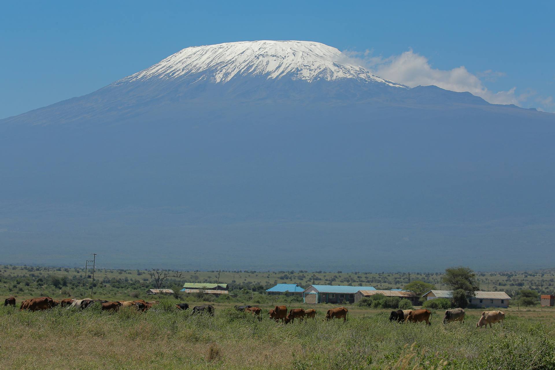 Kilimanjaro Day Hike