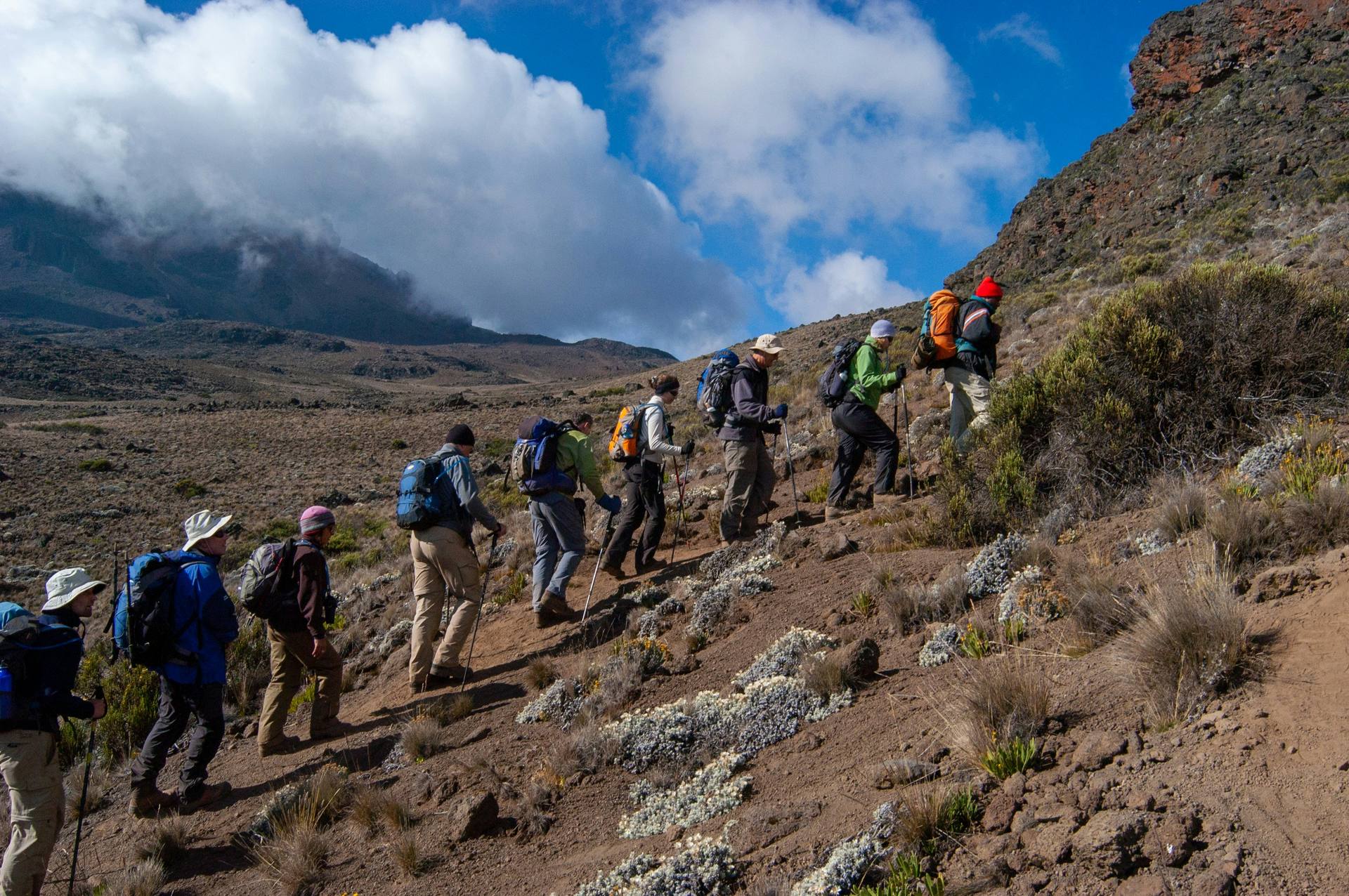 Climbers on Kilimanjaro
