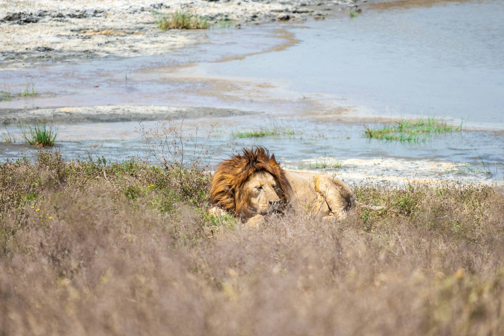 Ngorongoro Crater
