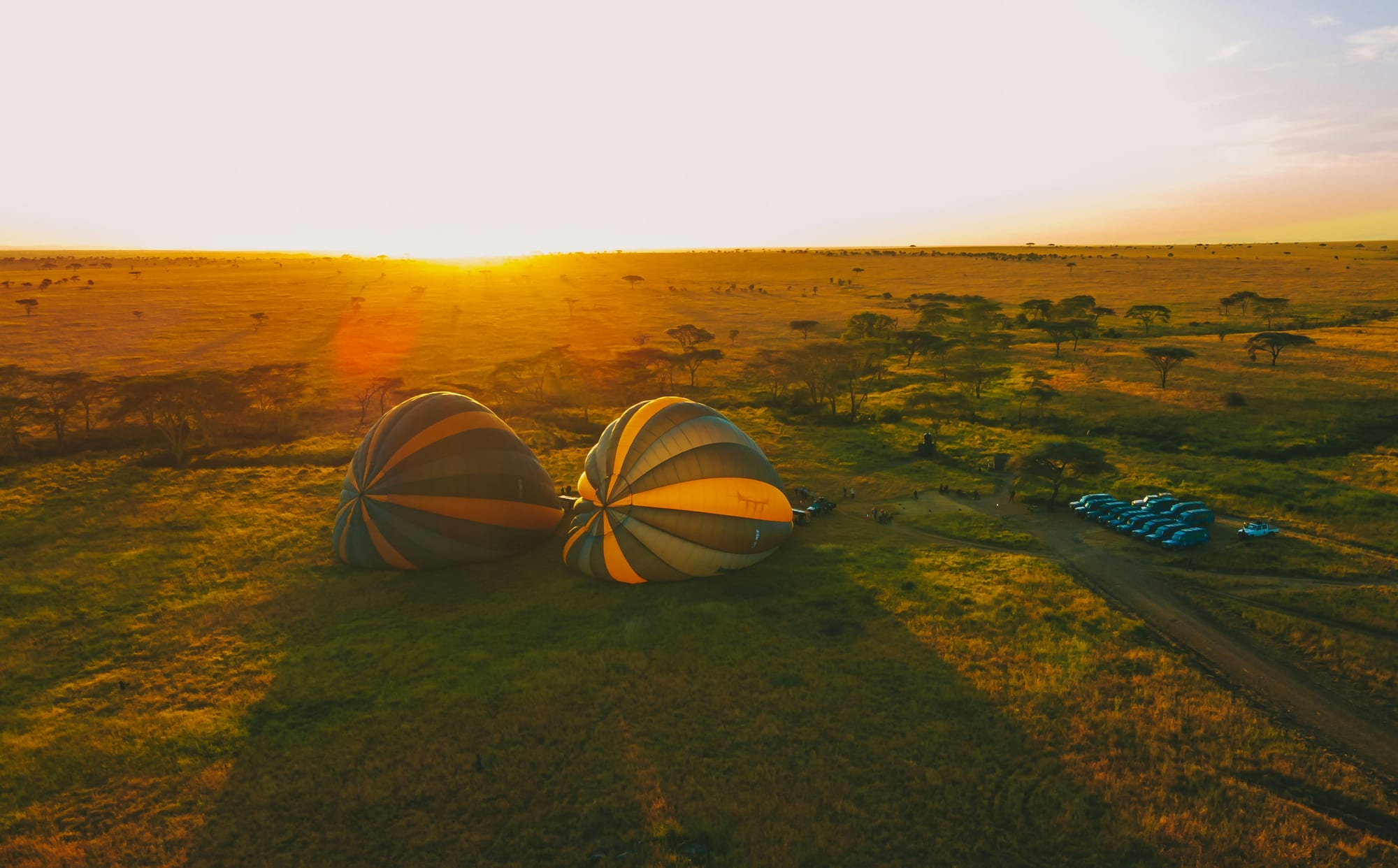 Hot air balloons being inflated on open grassland at sunrise
