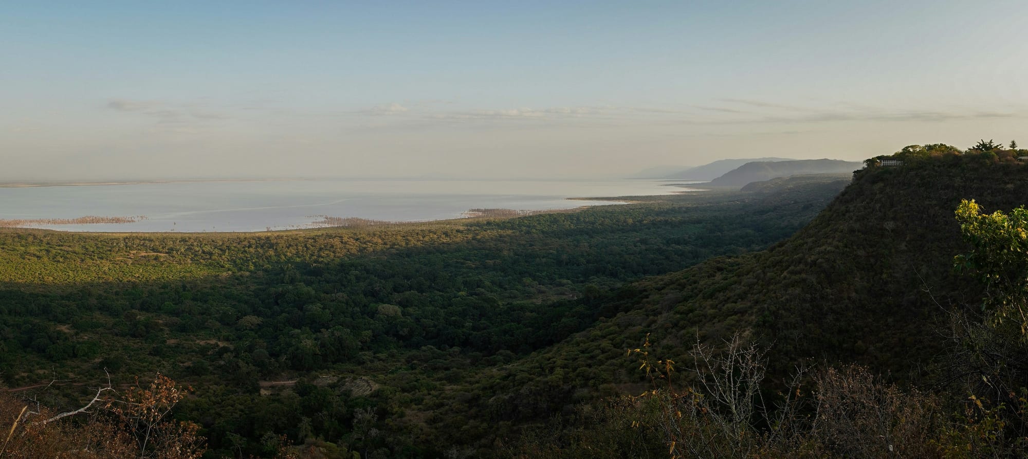 Forested slopes falling away towards Lake Manyara on the valley floor