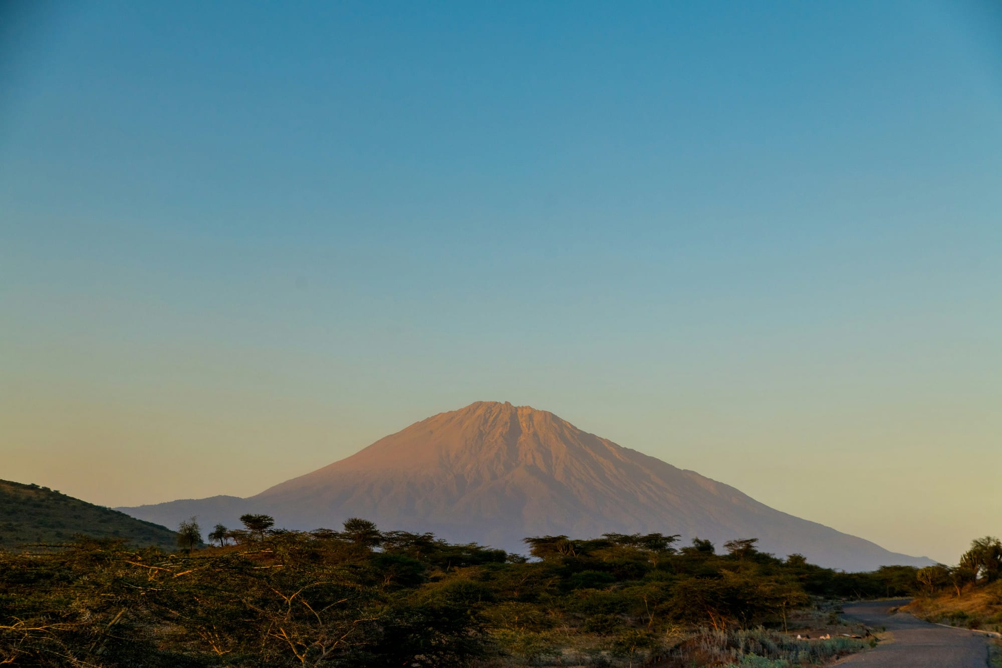 Mount Meru catching first light above acacia bush