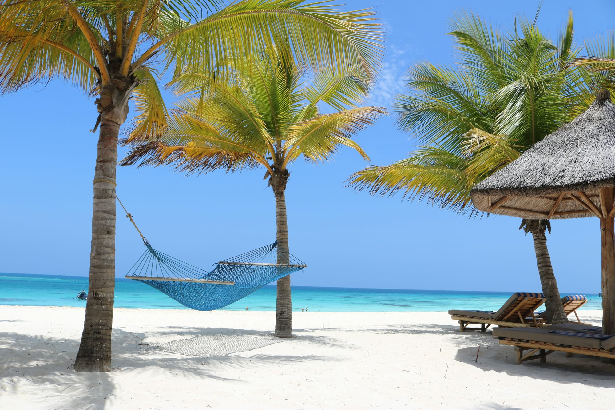 A hammock strung between palm trees above white sand and turquoise water