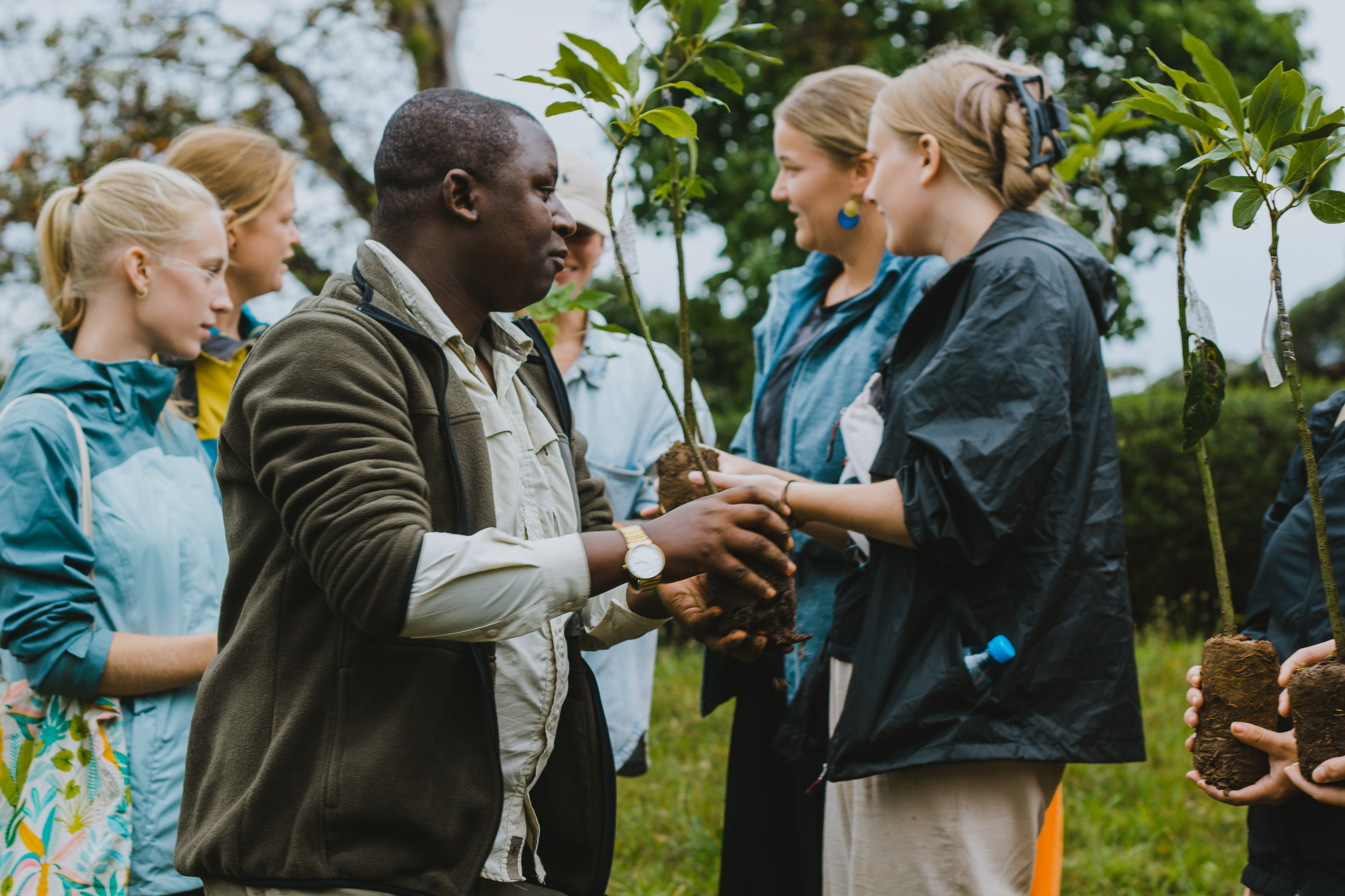 Tree planting with tourists