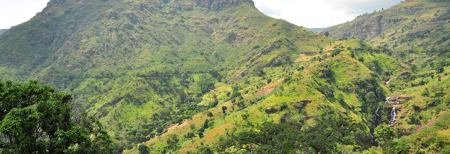 Usambara Mountains